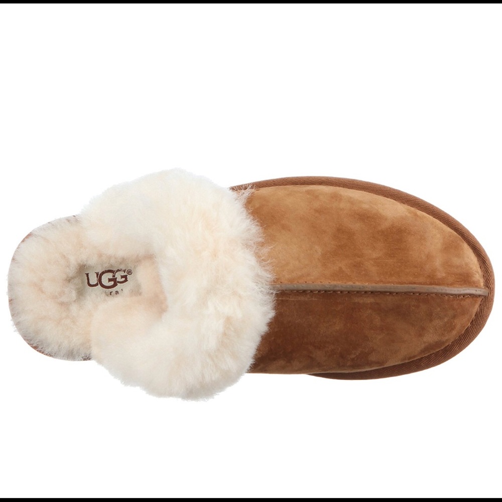 Ugg Scuffette II
